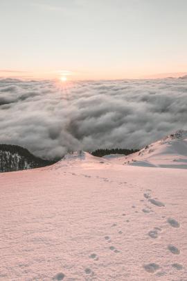 Sunrise above the fog in the Zillertal Alps!