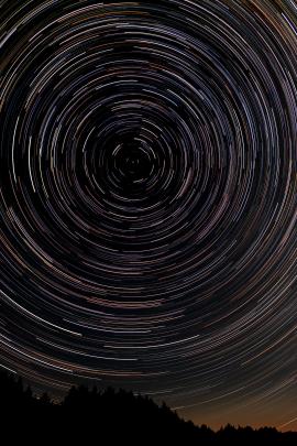 Long exposure star trails centered on North Star with trees silhouetted in foreground.