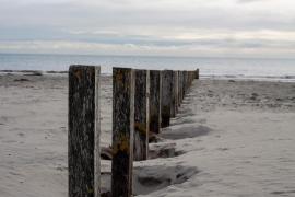 Pillars in the sand