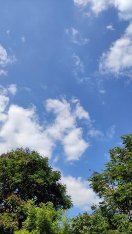Blue sky, Clouds, Trees