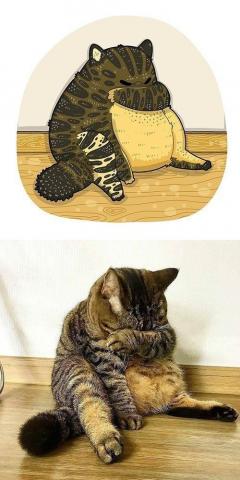 Cute cat #wallpaper