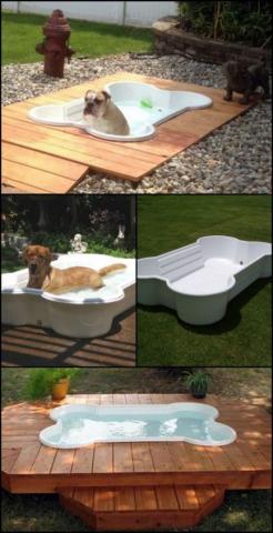 24+ Great Dog-Friendly Backyard Landscaping Ideas & Designs For 2022