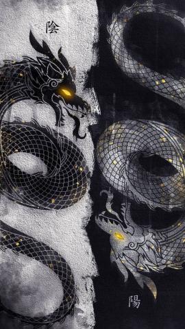 Black and beige dragonprinted textile photo  Free Kyoto Image on Unsplash
