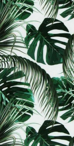 45+ Free Beautiful Summer Wallpapers For iPhone The Chic Pursuit