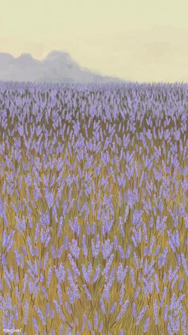 Download premium vector of Blooming lavender garden mobile phone wallpaper vector by marinemynt about lavender, iphone wallpaper, iphone wallpaper lavender, landscape painting, and landscape background 2043962