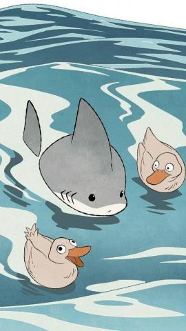 Pin by Jxchrle on Idea Pins by you in 2022 Shark art, Shark painting, Cartoon wallpaper