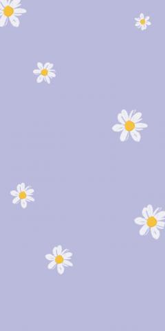 Daisy Purple Mobile Phone Free Wallpaper