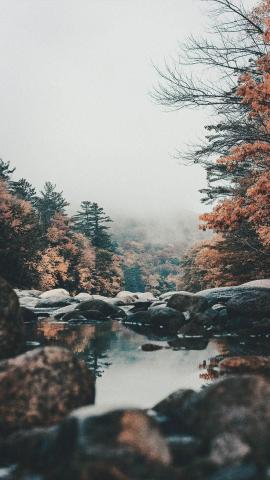 15 Gorgeous Happy Fall iPhone X Wallpapers Preppy Wallpapers