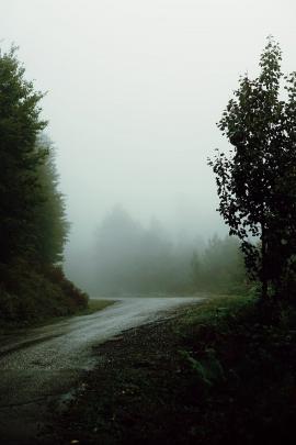 Foggy Road