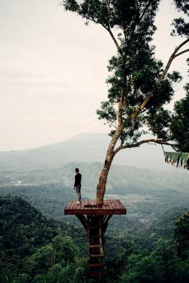 man standing with nature