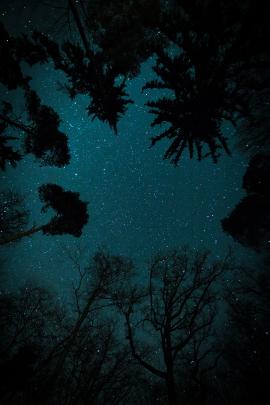 It was my first shot in the forest, where I just pointed the camera straight to the dark nightsky above me. Actually it wasn’t even planned to do that kind of shot, but it was a pretty nice spot to give it a try.