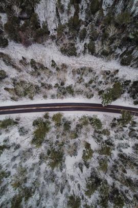 Road through the forest