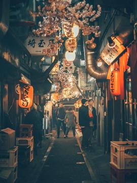 Shinjuku Yakitori Alley (Memory Lane / Piss Alley), Tokyo, Japan. For free collaborations (products, travel, whatever needed), feel free to DM or Instagram me.