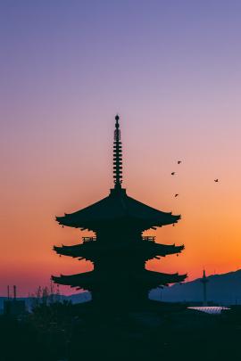 Catch at just the right time with sunset and birds in December 2017 in Kyoto