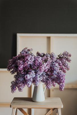 Lilac flower setup