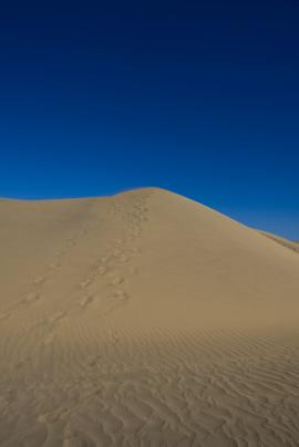 Famous dunes in Maspalomas.