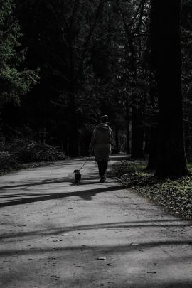 Walking girl with dog