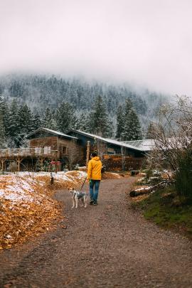 Went hiking in the French Alsace region with my girlfriend not so long ago. We stayed in a Nutchel cabin, offering a great stay with almost no electricity and a stove to warm you up. 😊