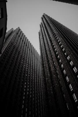 moody skyscrapers