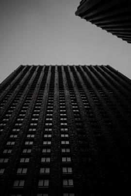 moody skyscrapers