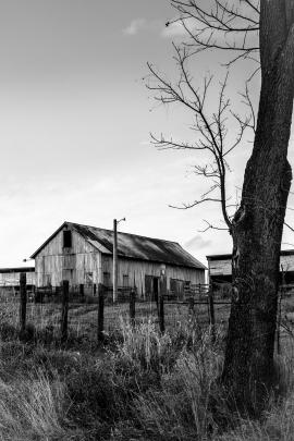 Old farm building and fence in country during afternoon on cloudy day in fall in black and white.