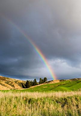 Rainbow across the field