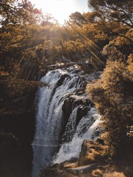 Sunlit Falls