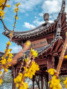 Chinese architecture in the chinese-garden in Stuttgart!