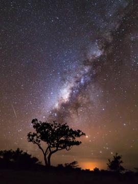 The Milky Way rising over Maasai Mara in Kenya. We wandered out from Mara Bushtops resort late at night to capture this moment of the milky way and a wild fire on the horizon. We were lucky to capture a shooting star in our 30 second exposure.