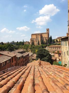 ➝ Houses & curch of Siena ➝ ❝Have a smashing day, Tobi