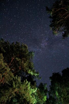 About a month ago I was in middle of a nowhere in a forest and I decided to set my camera and take a shot of a beautiful night sky with lots of stars on it. And that idea turned out pretty good I guess! I really like this shot