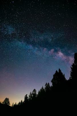 The Milky Way Galaxy in a starry night sky behind a silhouetted line of trees. 