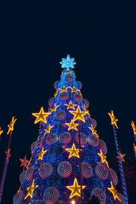 Large outdoor christmas tree at night with star ornaments.