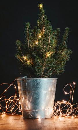 Christmas tree with warm light Fairy lights 