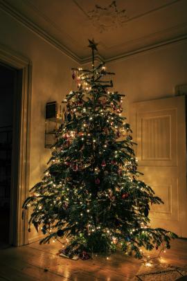 Christmas tree lighting up a living room