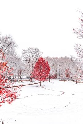 The Red Winter.