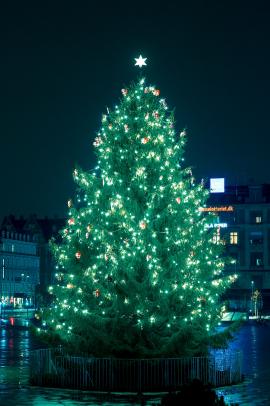 Christmas tree at Copenhagen's city hall square