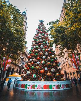 Instead of blinding white snow, we had pouring rain over the city’s Christmas tree exhibit, still equally beautiful though.