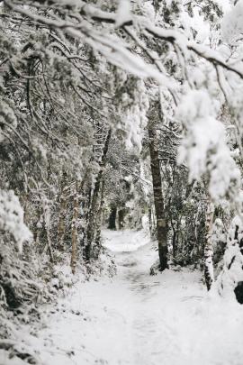 it was as if we’d stumbled into the wardrobe, now on the hunt for some wild turkish delight.