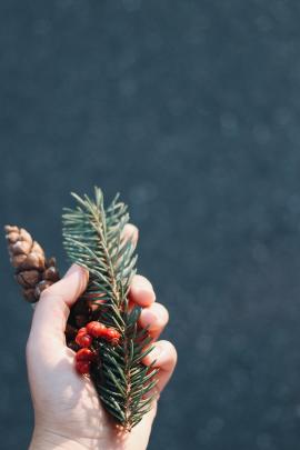 Christmas greenery in hand 