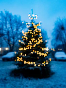 Blurred Christmas tree