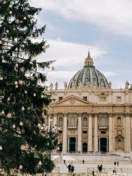 The Christmas tree in St Peter's Square, Vatican City