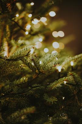 Natural christmas tree with warm fairy lights