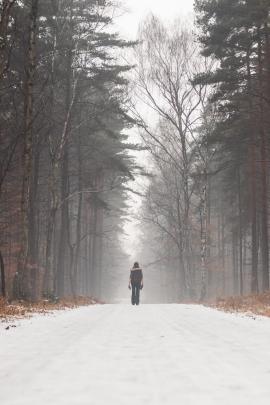 Person on the middle of the path in winter forest in the fog.