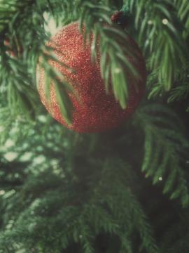 A red ornament decorating a Christmas tree.