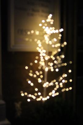 Bokeh lit up christmas tree