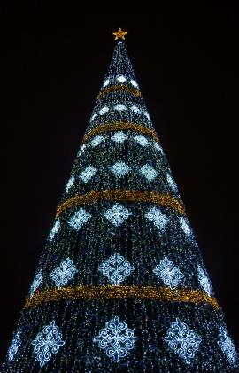 Christmas tree in the night