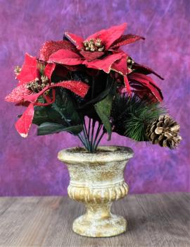 Poinsettia floral arrangement for decoration.  