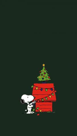 Snoopy 4ever