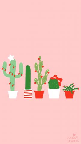 December 2017 Christmas Cactus Calendar Wallpaper  Sarah Hearts